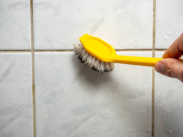 Best Same-Day Mold Removal  in Suncrest, WA