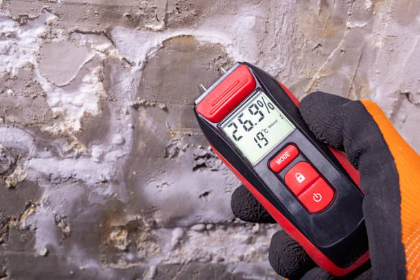 Best Crawl Space Mold Removal  in Suncrest, WA