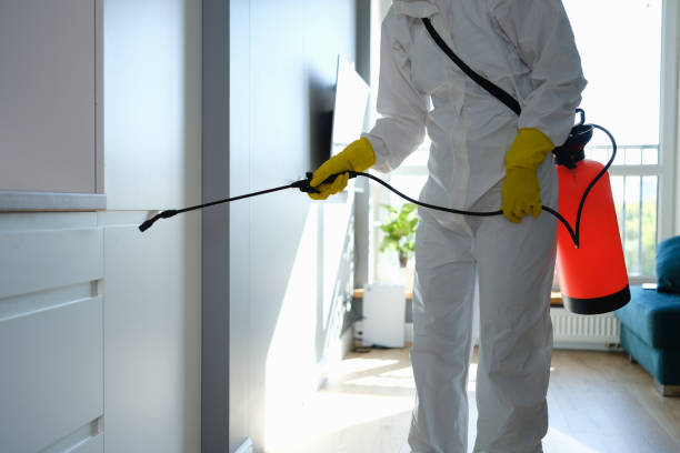 Best Mold Remediation  in Suncrest, WA