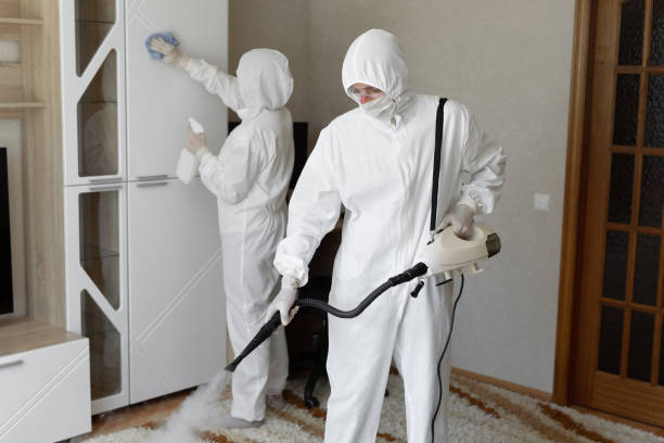 Best Mold Cleaning Services  in Suncrest, WA