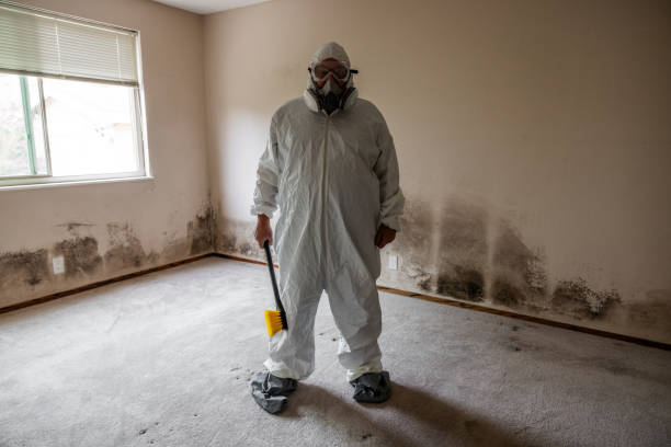 Best Mold Testing  in Suncrest, WA