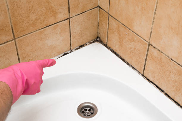 Best Mold Removal and Inspection  in Suncrest, WA